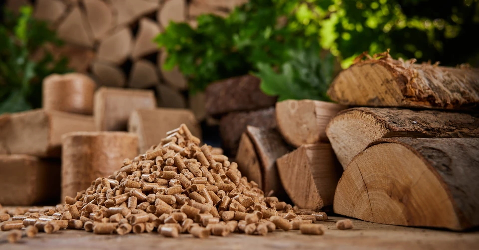 Scène extérieure avec tas de granulés de bois cylindriques beiges au premier plan, bûches de bois dur empilées à l'arrière-plan, végétation verte floue